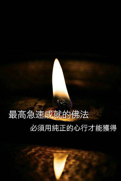 純正的心.jpg 純正的心.jpg