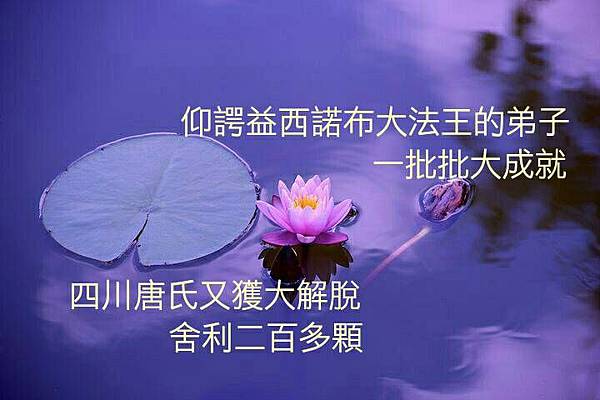 四川唐氏舍利二百多顆.jpg 四川唐氏舍利二百多顆.jpg