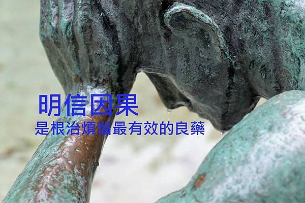 明信因果.jpg 明信因果.jpg