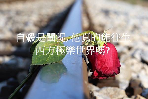 自殺闡提.jpg 自殺闡提.jpg