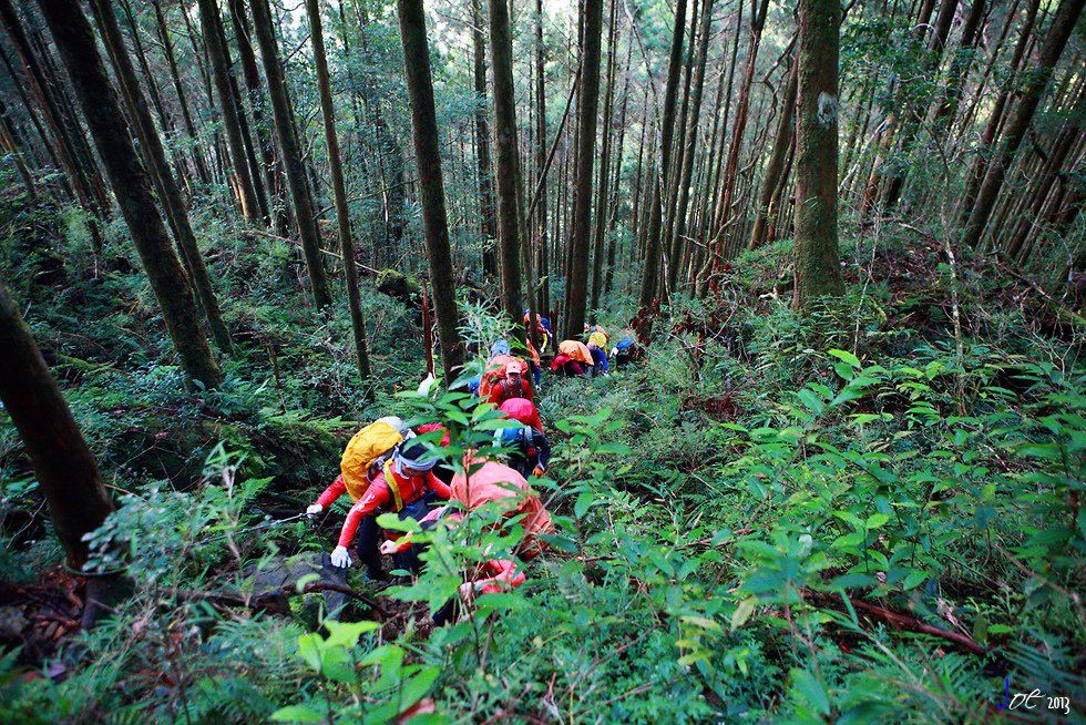 _MG_4935.jpg _MG_4935.jpg