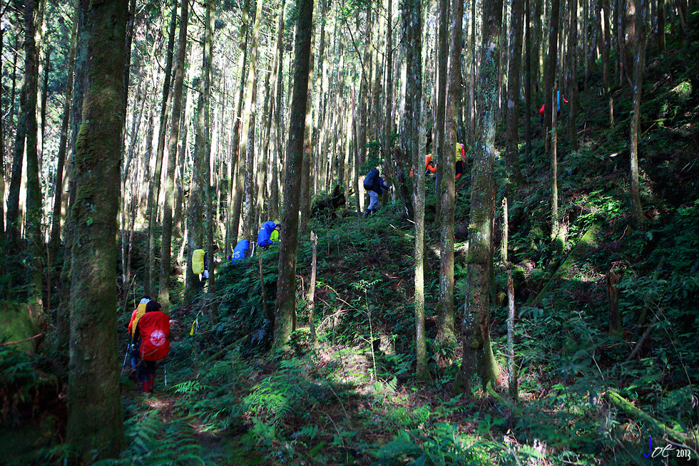 _MG_4949.jpg _MG_4949.jpg