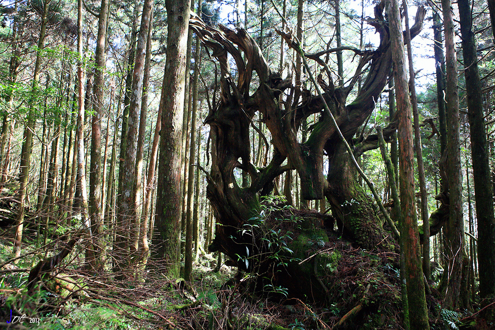 _MG_4956.jpg _MG_4956.jpg