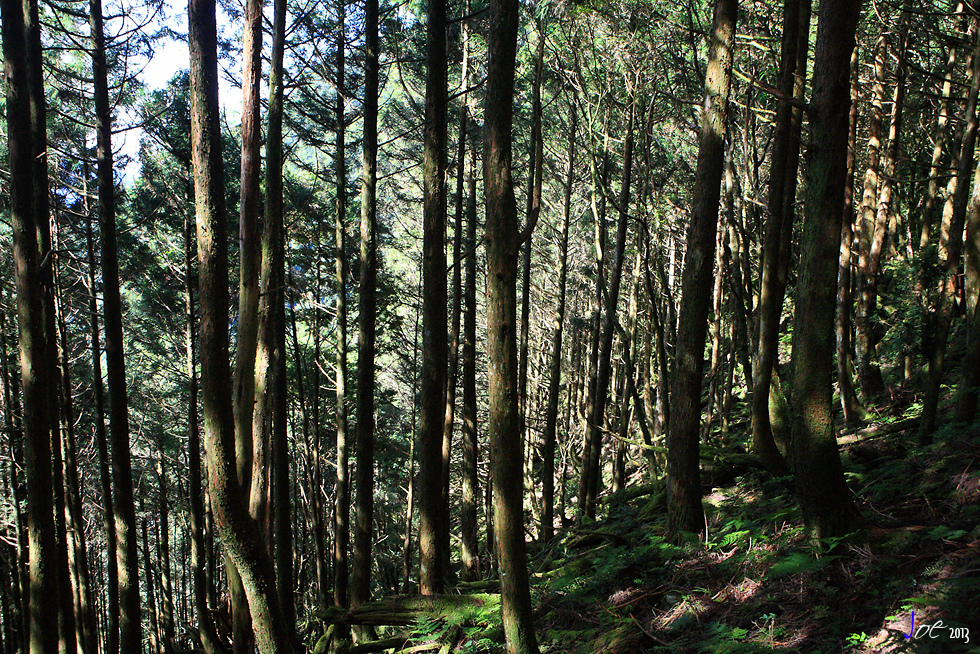 _MG_4967.jpg _MG_4967.jpg