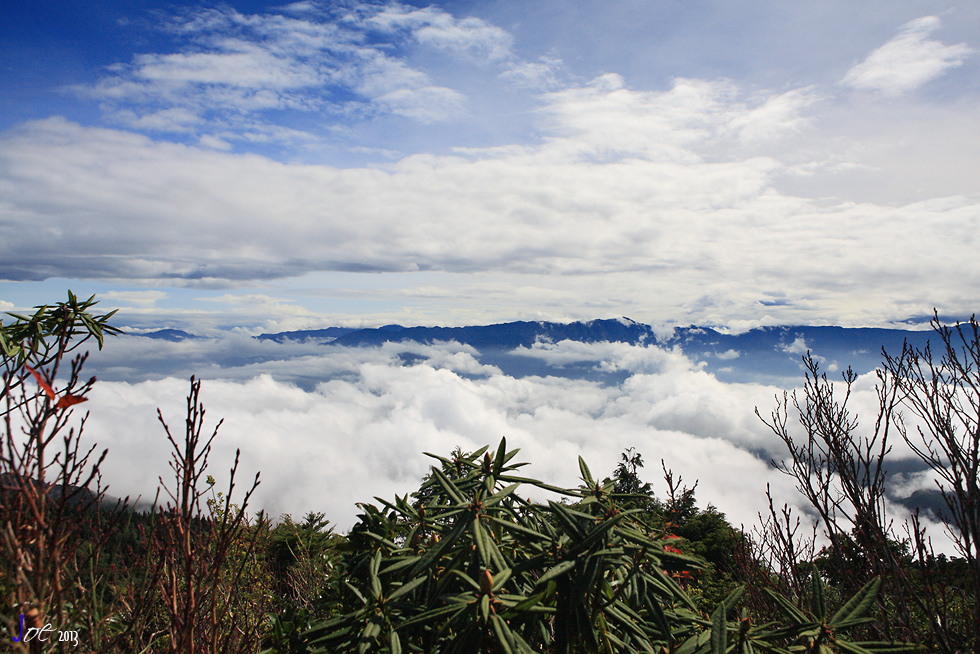 _MG_4996.jpg _MG_4996.jpg