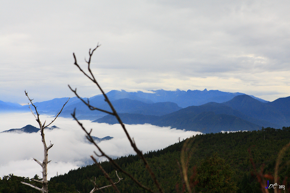 _MG_5061.jpg _MG_5061.jpg