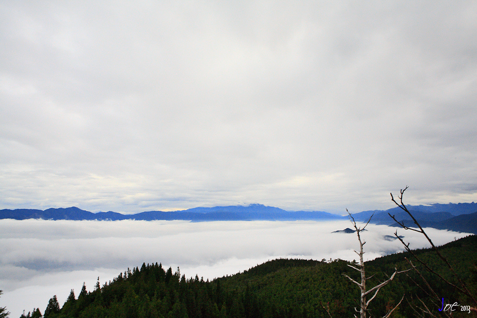 _MG_5063.jpg _MG_5063.jpg