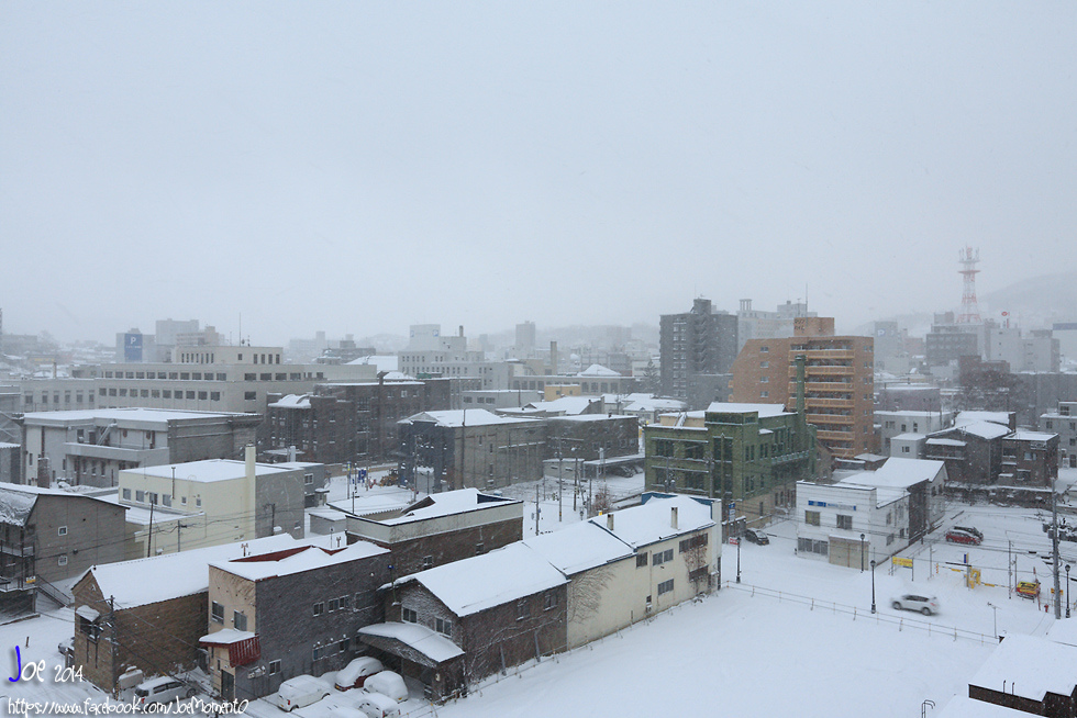 _MG_1012.jpg _MG_1012.jpg