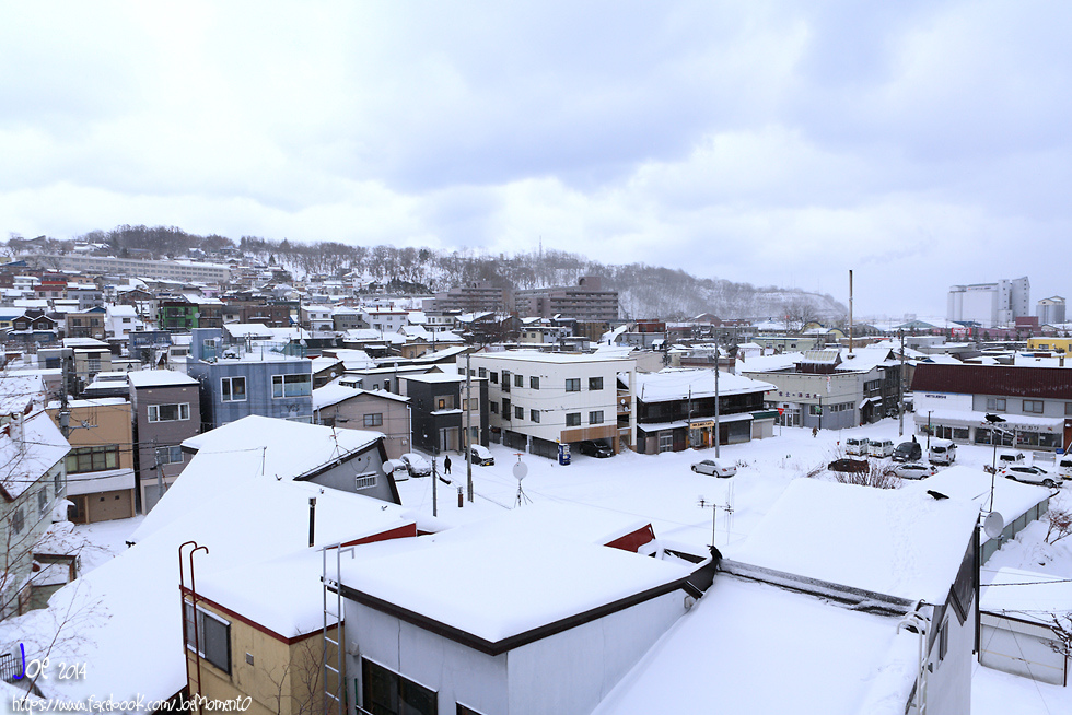 _MG_1110.jpg _MG_1110.jpg