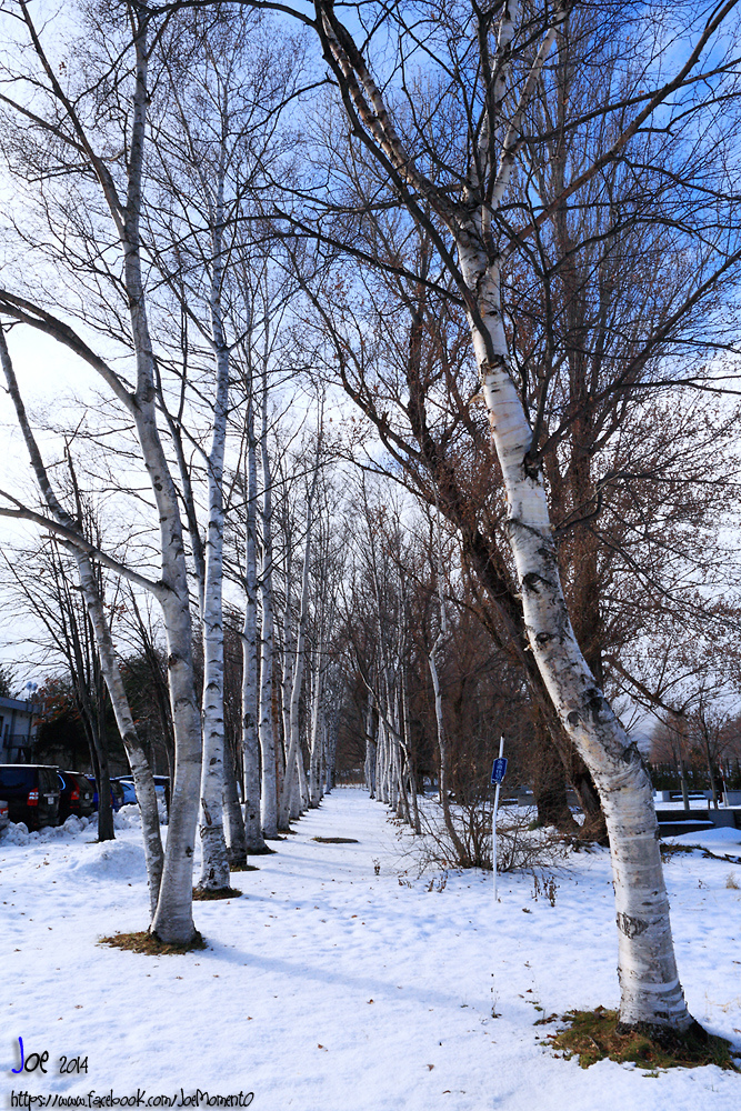 _MG_2115.jpg _MG_2115.jpg