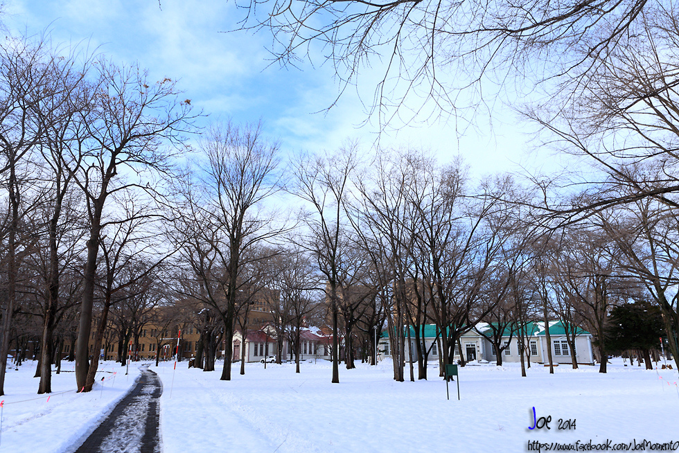 _MG_2160.jpg _MG_2160.jpg