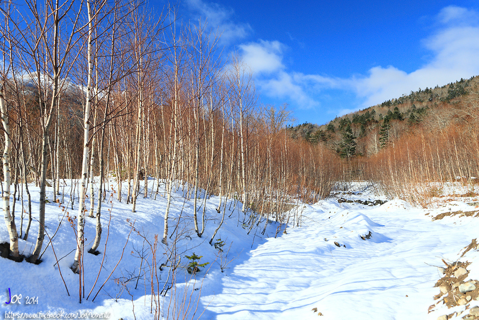 _MG_4079.jpg _MG_4079.jpg