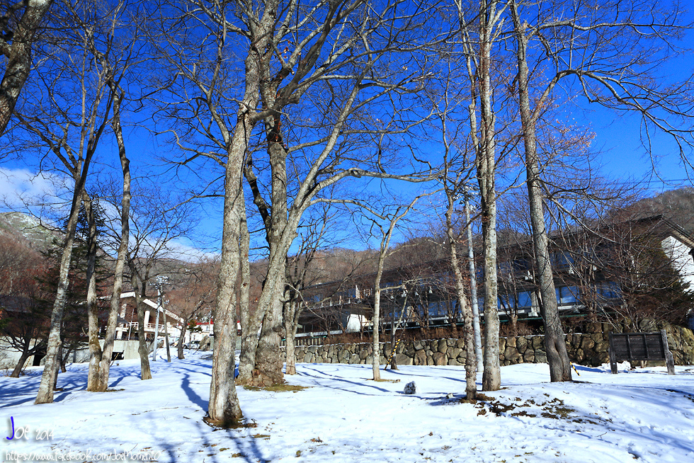 _MG_4128.jpg _MG_4128.jpg