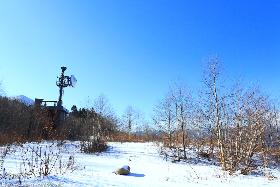 _MG_4162.jpg _MG_4162.jpg