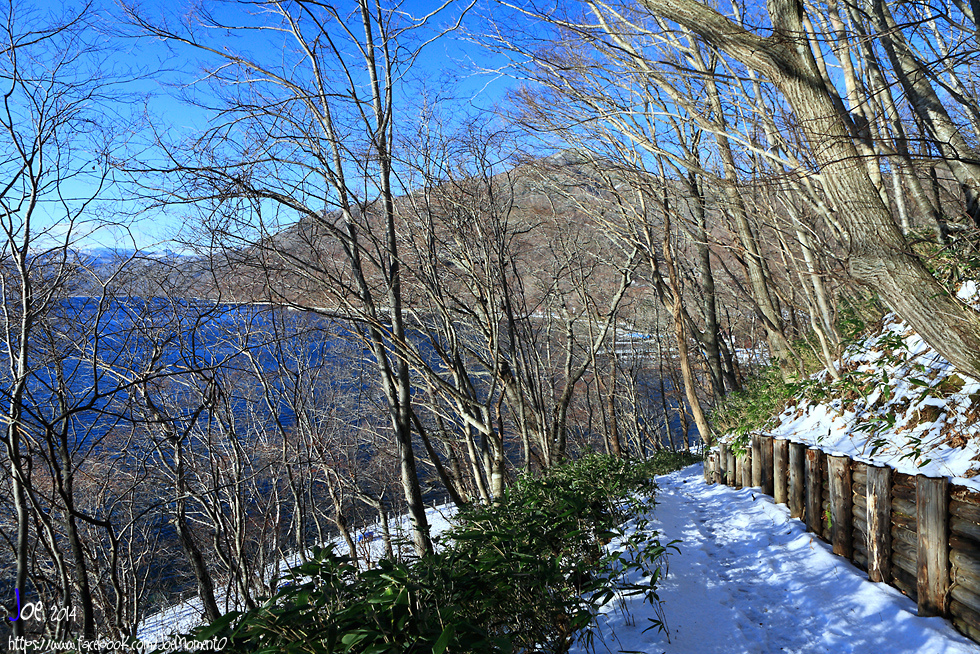 _MG_4193.jpg _MG_4193.jpg