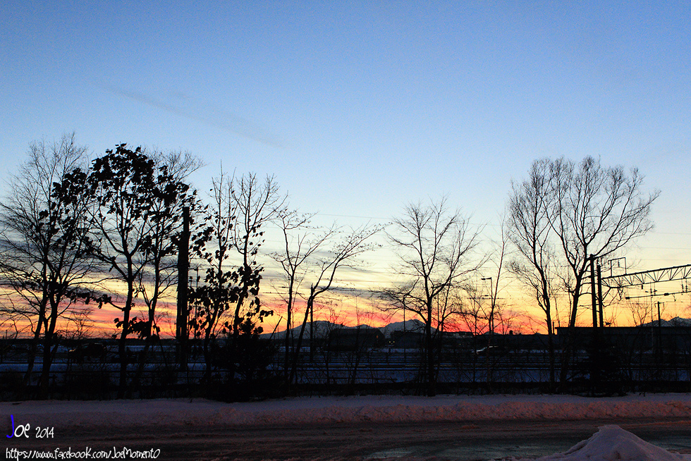 _MG_4507.jpg _MG_4507.jpg