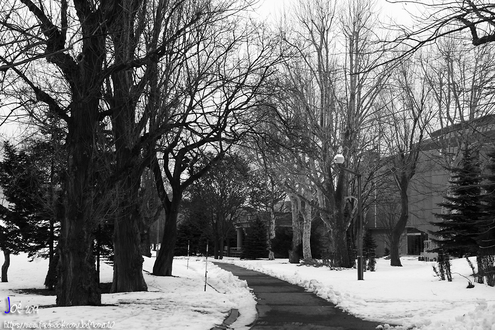 _MG_5213.jpg _MG_5213.jpg