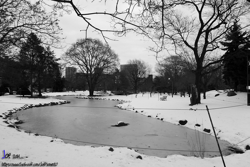 _MG_5216.jpg _MG_5216.jpg
