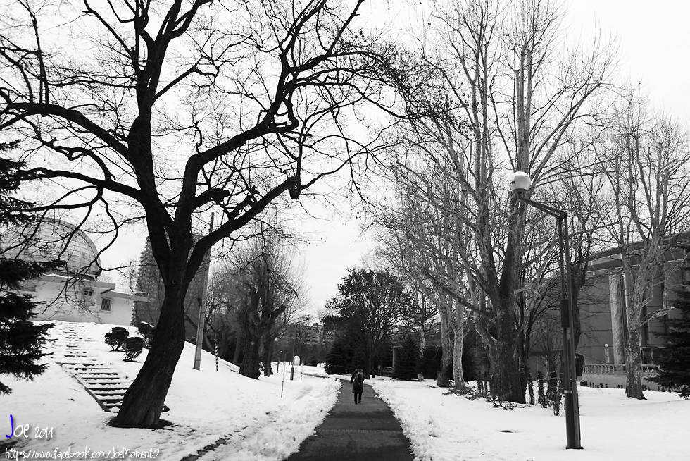 _MG_5218.jpg _MG_5218.jpg