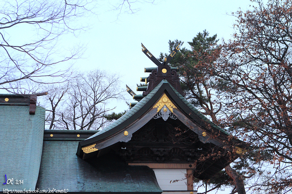 _MG_5501.jpg _MG_5501.jpg
