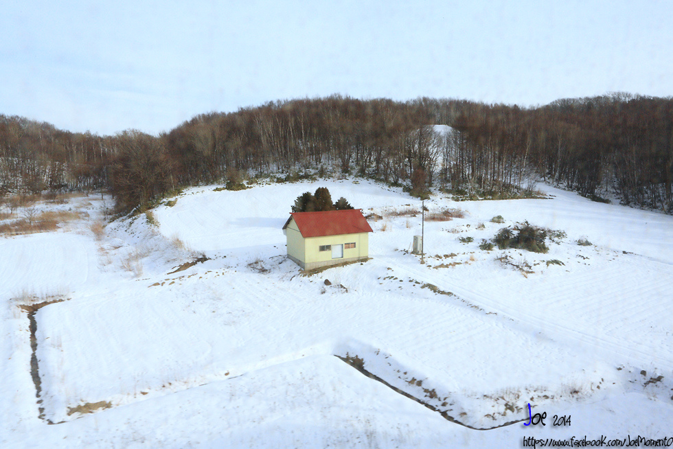 _MG_6028.jpg _MG_6028.jpg