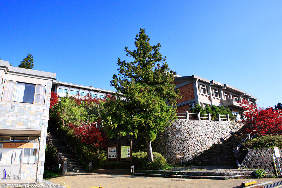 _MG_1003.jpg _MG_1003.jpg