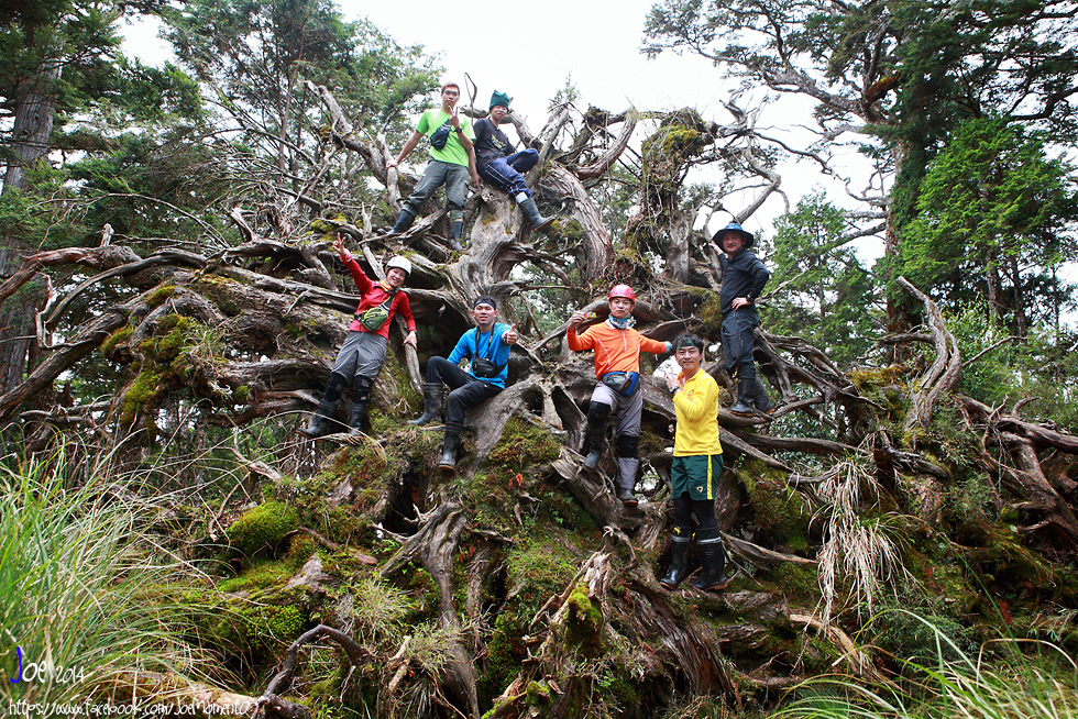_MG_1050.jpg _MG_1050.jpg
