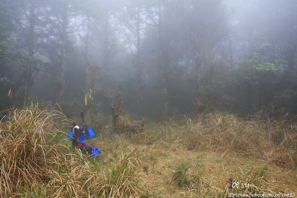 _MG_1082.jpg _MG_1082.jpg