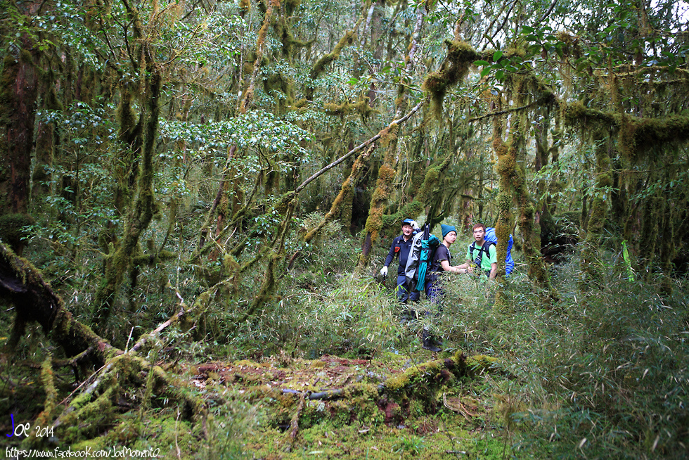 _MG_1087.jpg _MG_1087.jpg