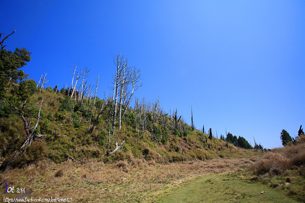 _MG_0415.jpg _MG_0415.jpg