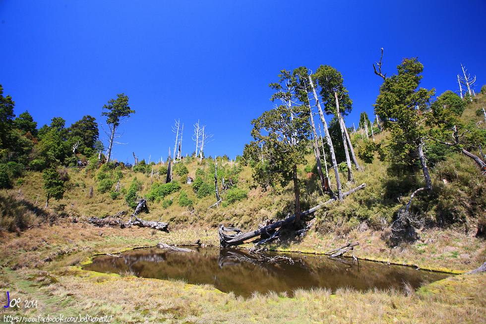 _MG_0417.jpg _MG_0417.jpg