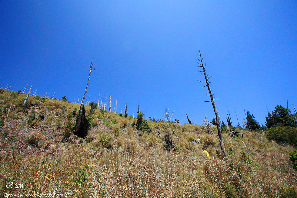 _MG_0477.jpg _MG_0477.jpg