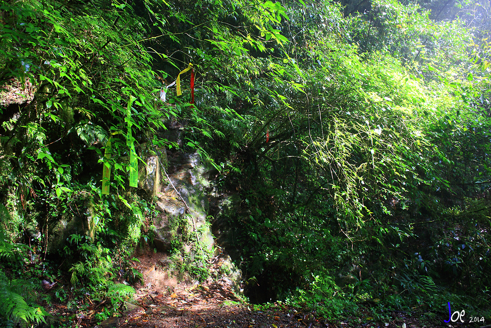 img015.jpg img015.jpg