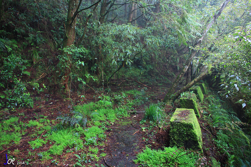 img014.jpg img014.jpg