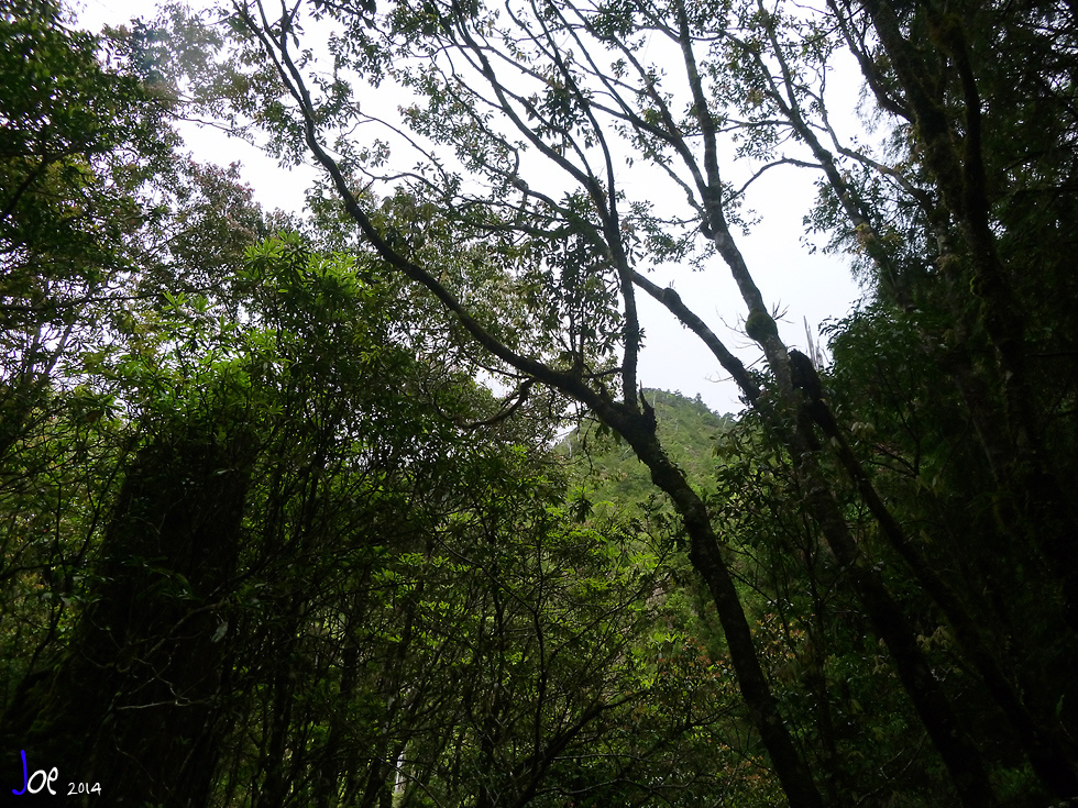img030.jpg img030.jpg