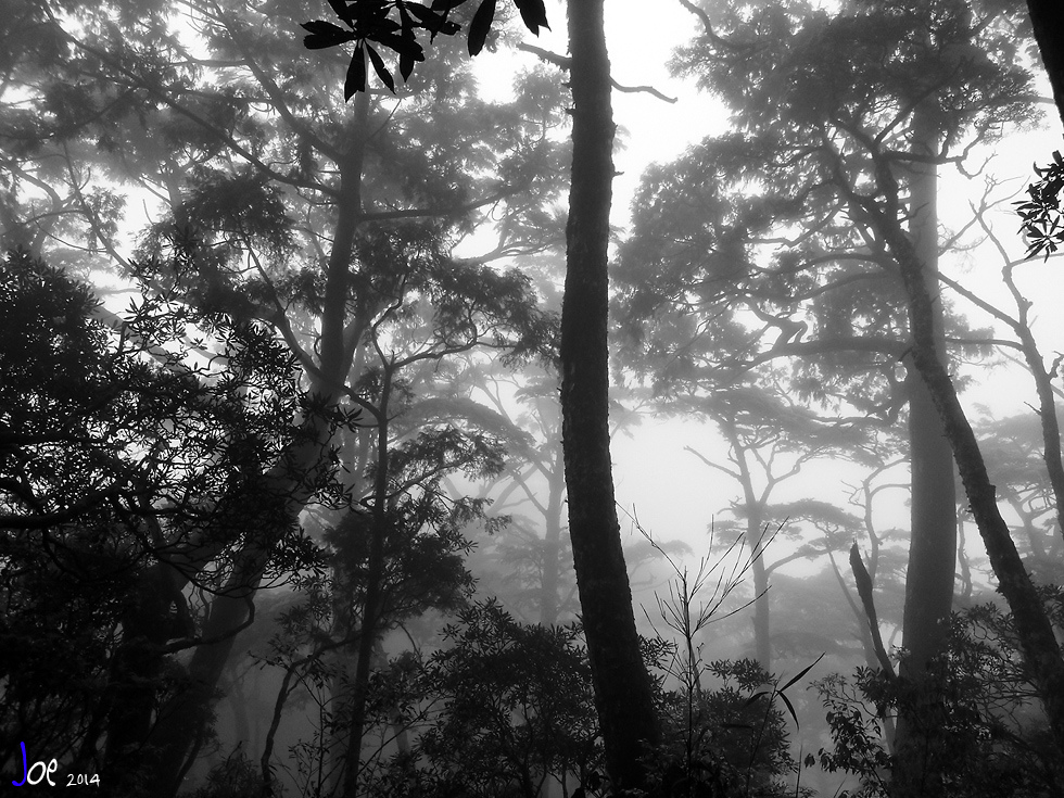 img041.jpg img041.jpg