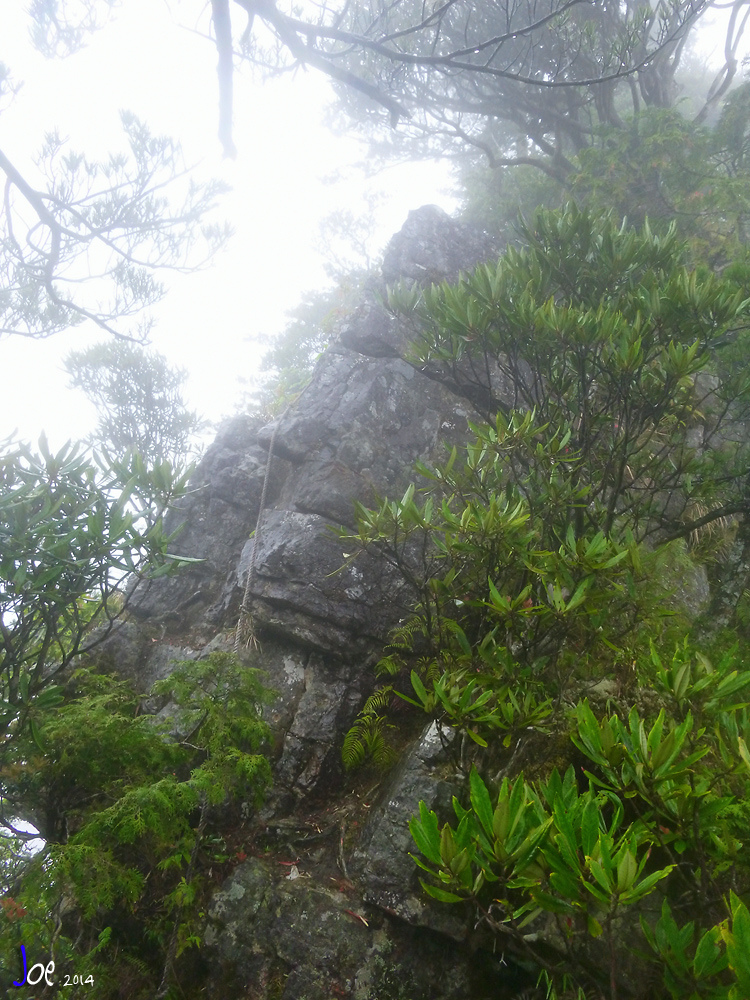 img045.jpg img045.jpg