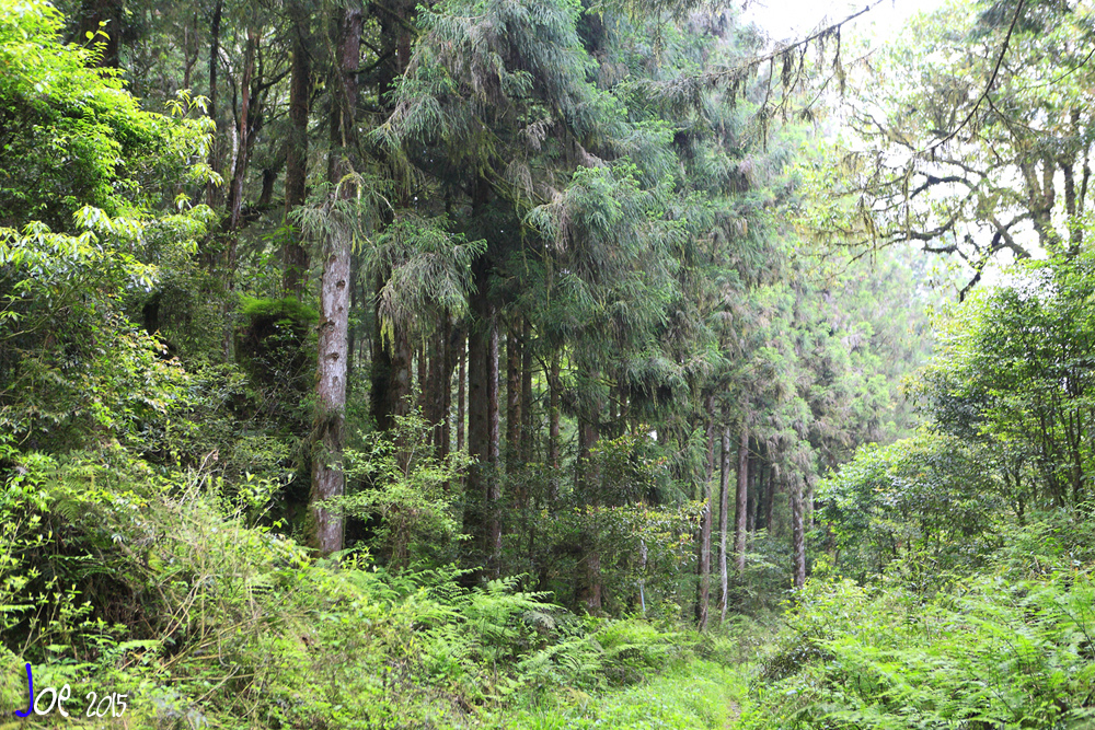 _MG_1700.jpg _MG_1700.jpg