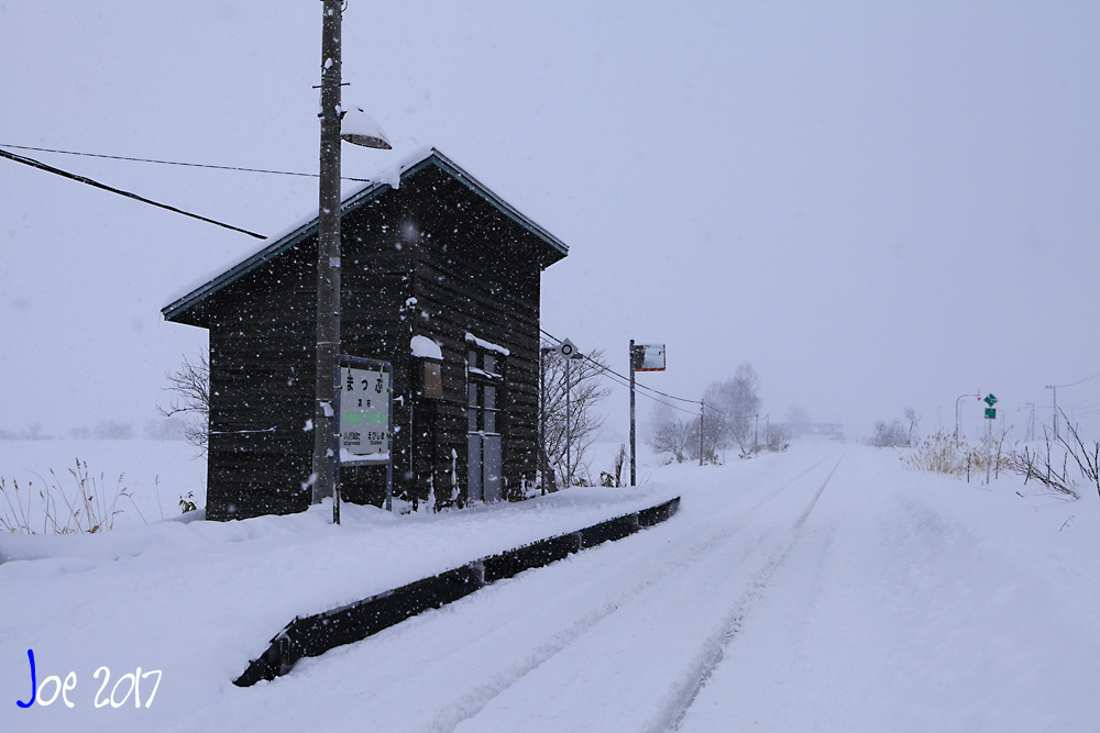 _MG_9585.jpg _MG_9585.jpg