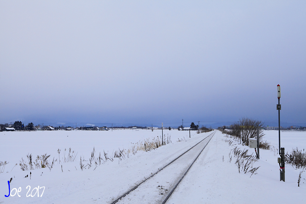 _MG_9961.jpg _MG_9961.jpg