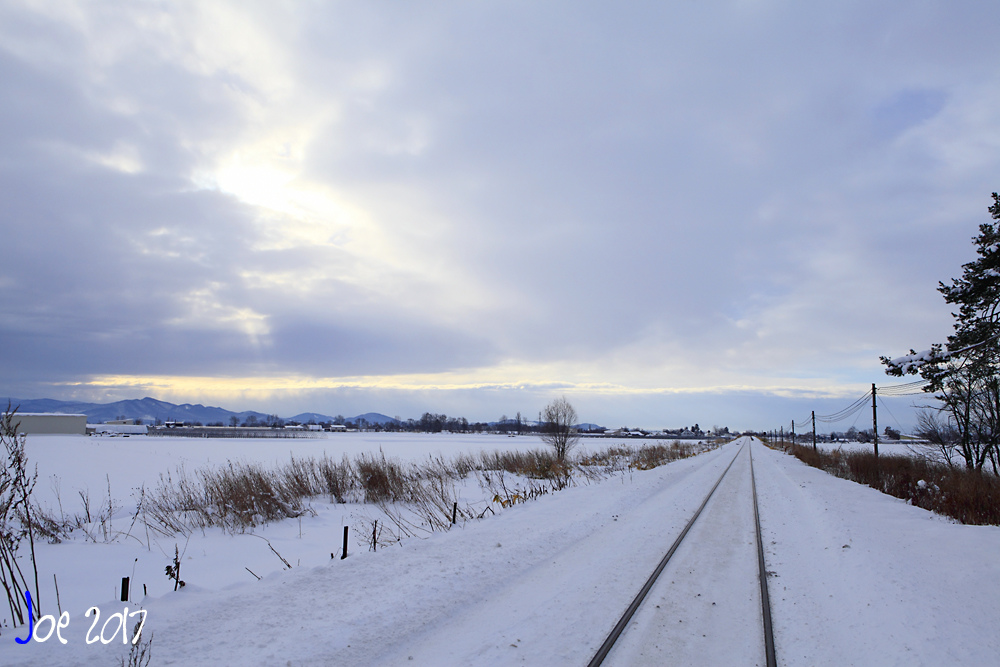 _MG_9991.jpg _MG_9991.jpg