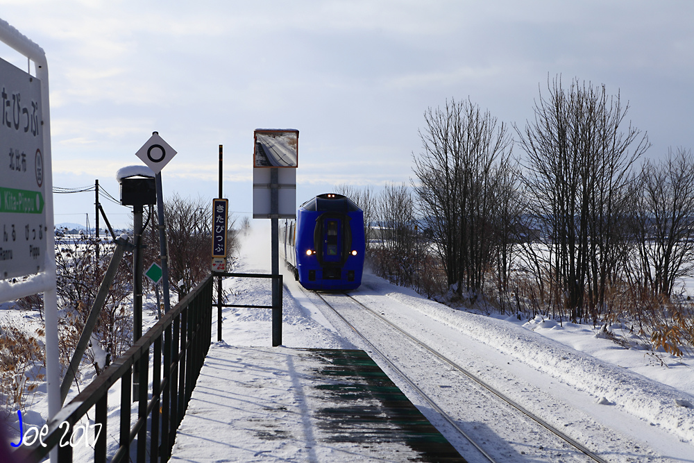 _MG_0010.jpg _MG_0010.jpg