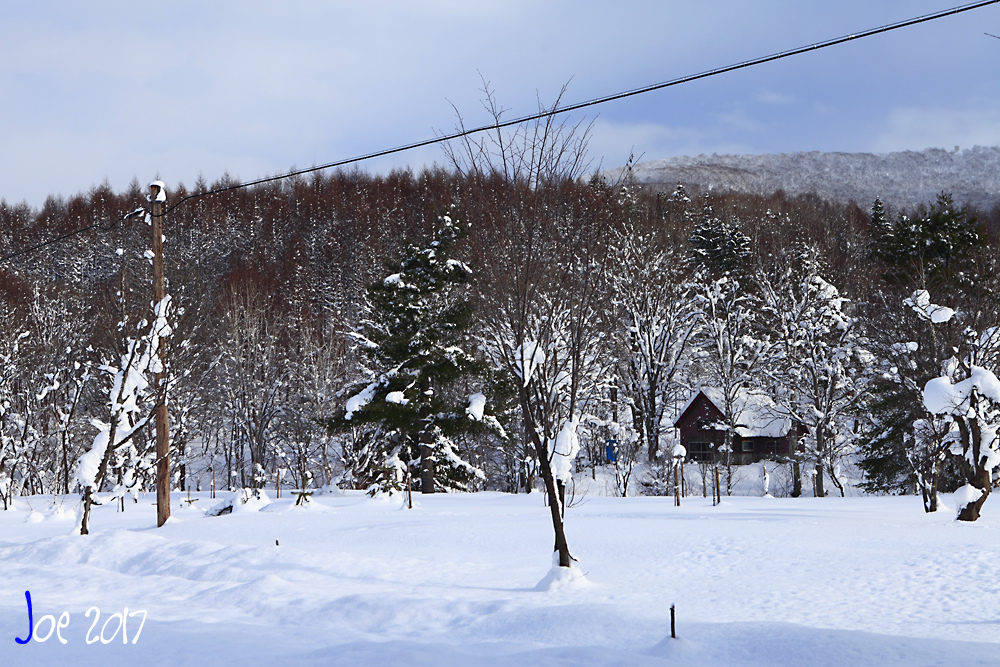 _MG_0058.jpg _MG_0058.jpg