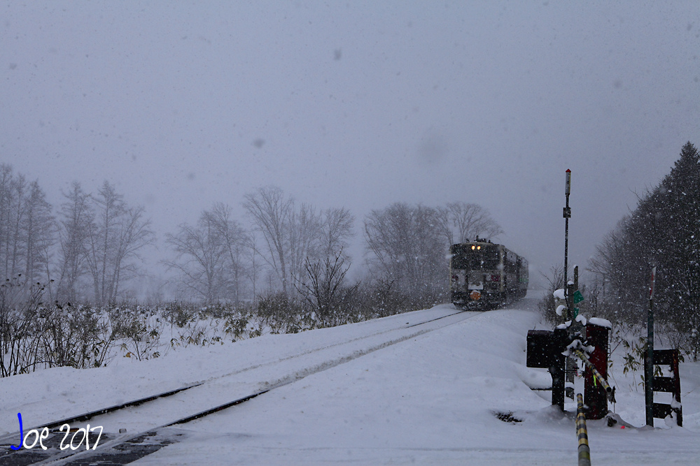 _MG_0129.jpg _MG_0129.jpg