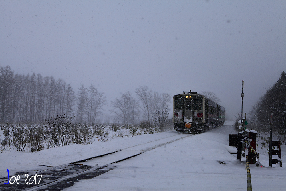 _MG_0130.jpg _MG_0130.jpg