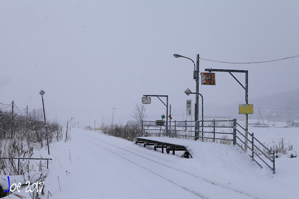 _MG_0170.jpg _MG_0170.jpg