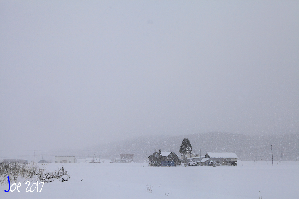 _MG_0176.jpg _MG_0176.jpg