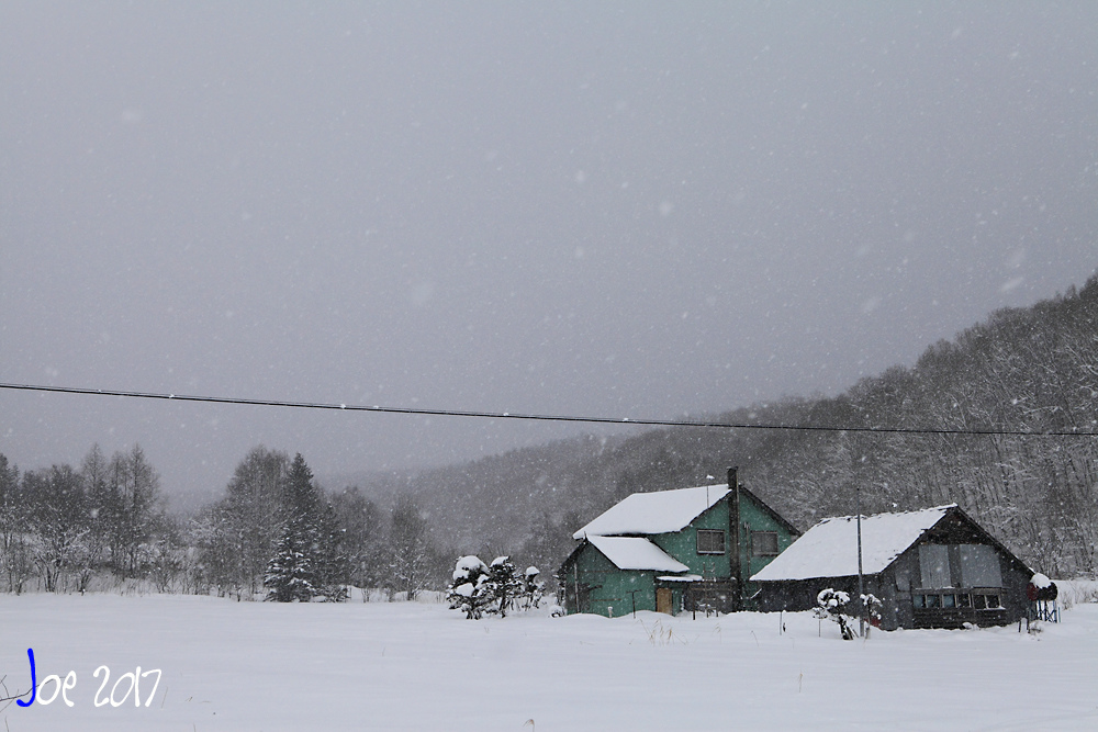 _MG_0191.jpg _MG_0191.jpg