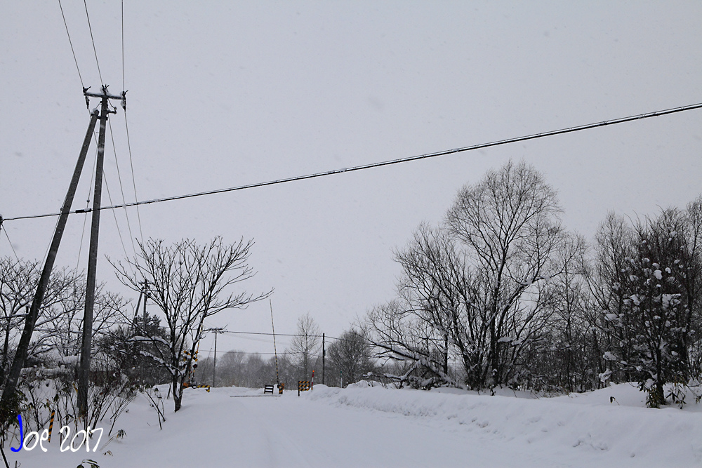 _MG_0194.jpg _MG_0194.jpg