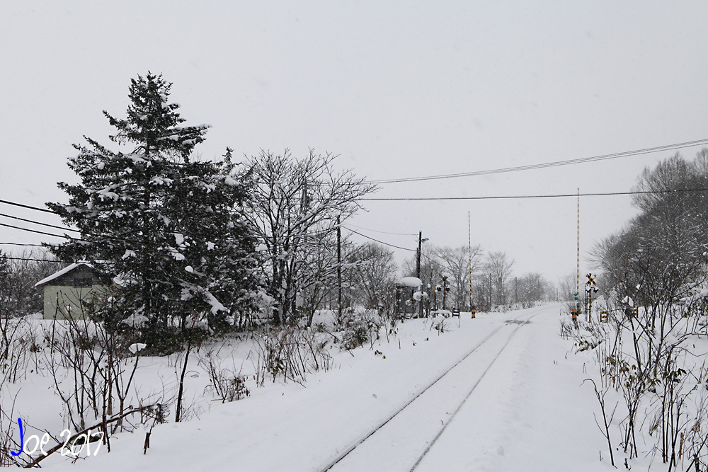 _MG_0199.jpg _MG_0199.jpg